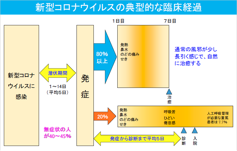 新型コロナウイルスの典型的な臨床経過
