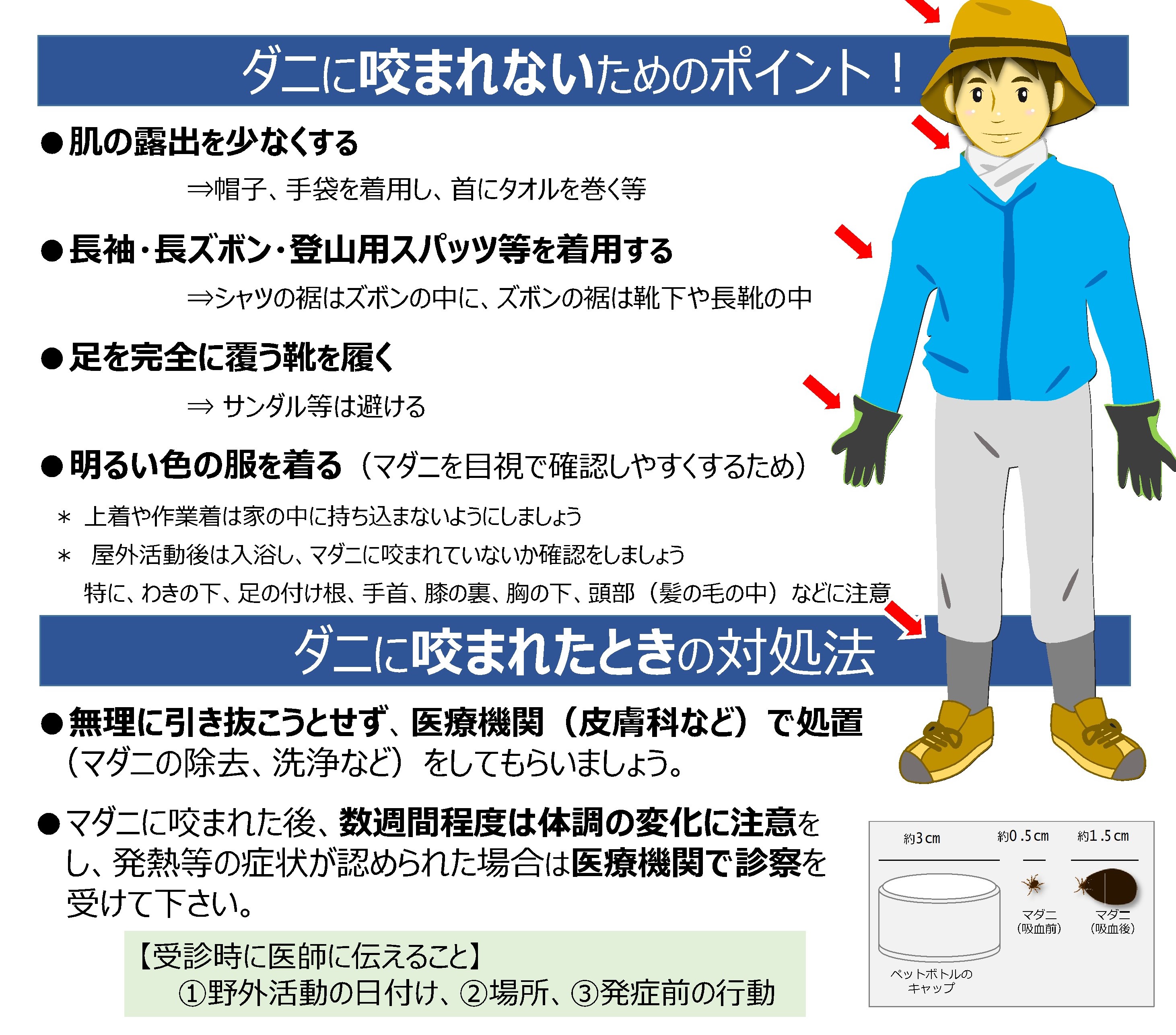 ダニ