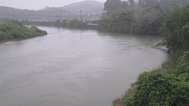 臼杵川深田カメラ