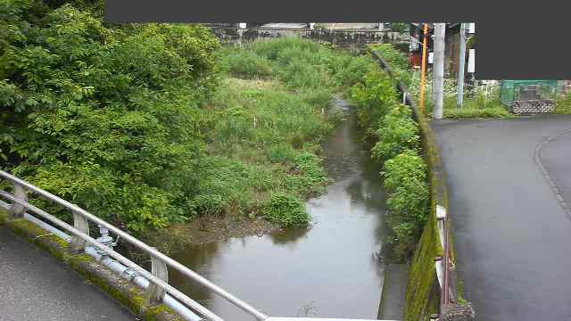 東海添