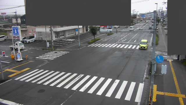 野田カメラ