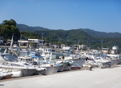 佐志生地区