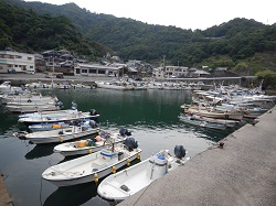 泊ヶ内漁港