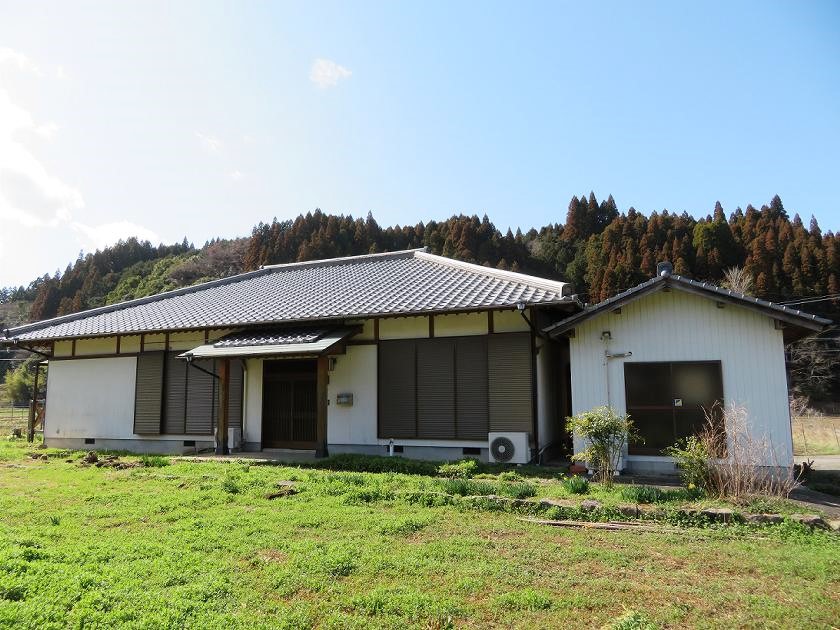 外観501(細枝)